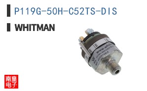 P119G-50H-C52TS-DIS ͼƬ